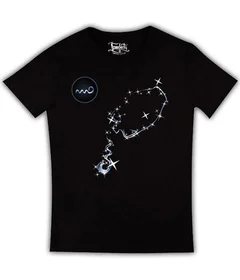 Водолей звезды